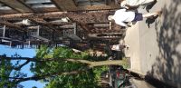 Greenwich Village 