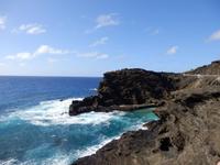 Halona Blowhole 