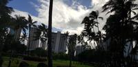 Honolulu - Fahrt zum Hotel