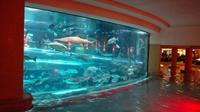 Hotel Golden Nugget Las Vegas