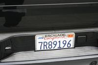 IMG_2113
