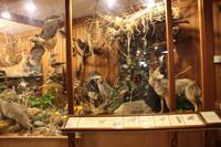 Im Besucherzentrum des Humbold State Parks