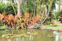 Im Botanischen Garten der Plantage