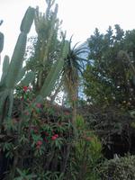 Im Hinterhof des Hotel Figueroa