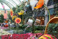 Im Hotel Bellagio