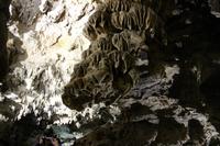 In den Oregon Caves