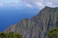 Individuelle Fahrt mit einigen Gästen zum Weimea Canyon auf Kauai im Taxi