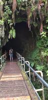 Inselrundfahrt - Big Island - Lava Thurston Tube