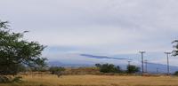Inselrundfahrt - Big Island 