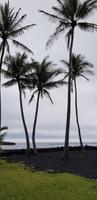 Inselrundfahrt - Black Sand Beach