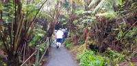Inselrundfahrt - Lava Thurston Tube