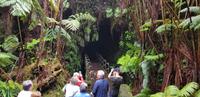 Inselrundfahrt - Lava Thurston Tube