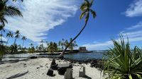 Inselrundfahrt Big Island - Besuch des Heritage Village Puuhonua o Honaunau 
