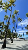 Inselrundfahrt Big Island - Besuch des Heritage Village Puuhonua o Honaunau 