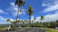 Inselrundfahrt Big Island - Besuch des Heritage Village Puuhonua o Honaunau