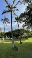 Inselrundfahrt auf Big Island - Stopp im japanischen Garten von Hilo