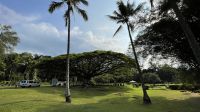 Inselrundfahrt auf Big Island - Stopp im japanischen Garten von Hilo