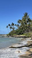 Inselrunfahrt auf Maui - Baden am Kanaha Beach Park 