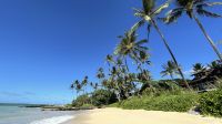 Inselrunfahrt auf Maui - Baden am Kanaha Beach Park 