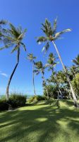 Inselrunfahrt auf Maui - Baden am Kanaha Beach Park 