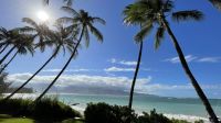 Inselrunfahrt auf Maui - Baden am Kanaha Beach Park 