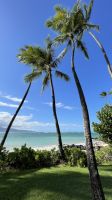 Inselrunfahrt auf Maui - Baden am Kanaha Beach Park 