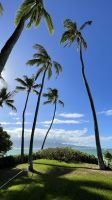 Inselrunfahrt auf Maui - Baden am Kanaha Beach Park 
