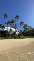 Inselrunfahrt auf Maui - Baden am Kanaha Beach Park 