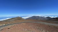 Inselrunfahrt auf Maui - Fahrt auf den Halakela Krater 