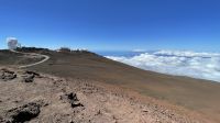 Inselrunfahrt auf Maui - Fahrt auf den Halakela Krater 