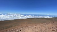 Inselrunfahrt auf Maui - Fahrt auf den Halakela Krater 
