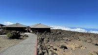 Inselrunfahrt auf Maui - Fahrt auf den Halakela Krater 