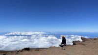 Inselrunfahrt auf Maui - Jacob Spangenberg am Halakela Krater