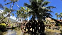 Inselrunfahrt auf Maui - Pause an einer Plantage