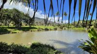 Inselrunfahrt auf Maui - Pause an einer Plantage
