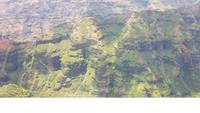 Kauai - Helikopter Rundflug