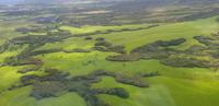 Kauai - Helikopter Rundflug