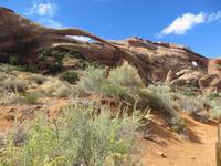 Landscape Arche