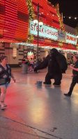 Las Vegas Nighttour - Freemont Street
