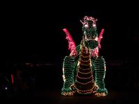 Lichterparade in Disney World