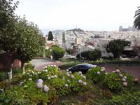 Lombard Street in San Francisco