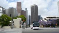 Los Angeles Downtown