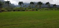 Maui - Inselrundfahrt - Iao Tal