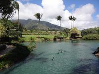 Maui - Tropische Plantage
