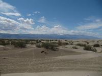 Mesquite Flat Sand Dunes - Death Valley