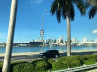 Miami - Skyline