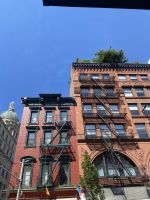 NY