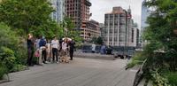 New York - Spaziergang im Highline Park