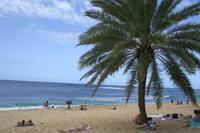 Oahu - Sunset Beach