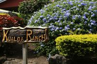 Oahu -Kualoa Ranch
